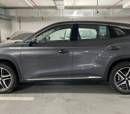 Grau MG One STD 2026