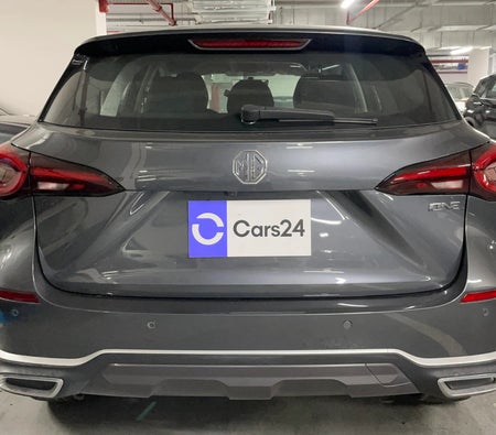 Grau MG One STD 2026 Grau MG One STD 2026