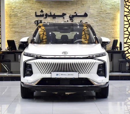 MG Whale Luxury 2022, photo 1 of 4