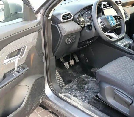 Gray MG ZS Standard 2025