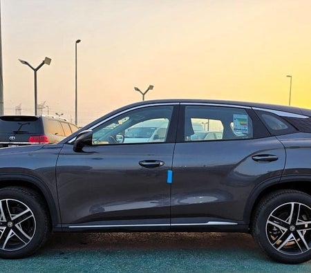 Grijs MG One 2024