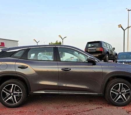 Grijs MG One 2024