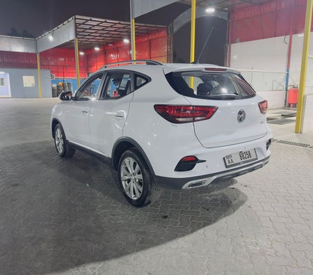 White MG ZS 2024