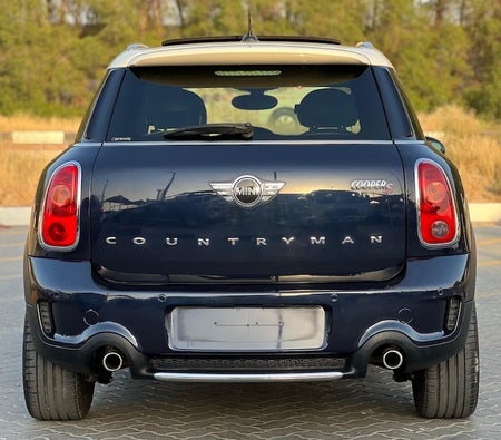 Mini Countryman Cooper S 2014, photo 4 of 4