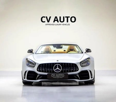 مرسيدس بنز AMG AMG-GT R 2019, photo 2 of 4