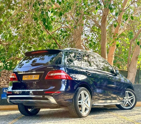 Blue Mercedes Benz ML 500 2013