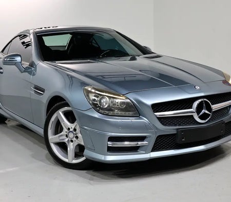 Mercedes Benz SLK 200 BlueEFFICIENCY 2012, photo 2 of 4
