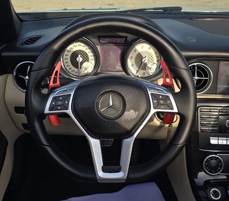 Mercedes Benz SLK 250 2013, photo 2 of 4