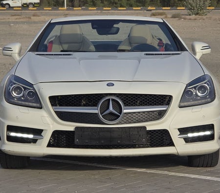 Mercedes Benz SLK 250 2013, photo 3 of 4