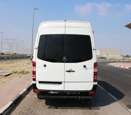Bianca Mercedes Benz Sprinter 2009