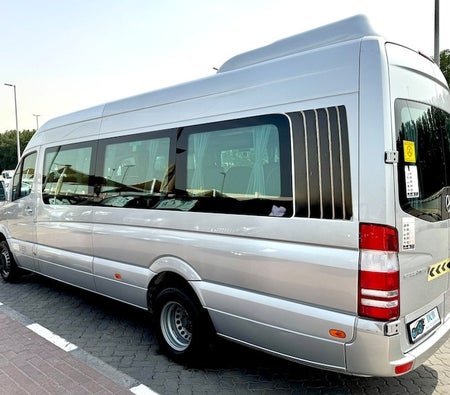 Silver Mercedes Benz Sprinter 2017
