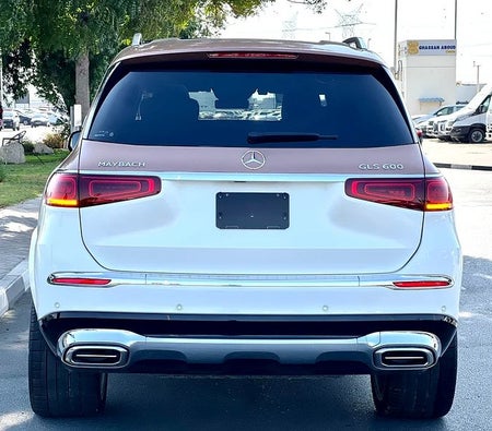 Mercedes Benz Maybach GLS 600 2022, photo 4 of 4