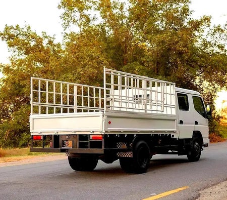 Mitsubishi Canter  2006, photo 3 of 4