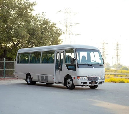 wit Mitsubishi Fuso Rosa 2023