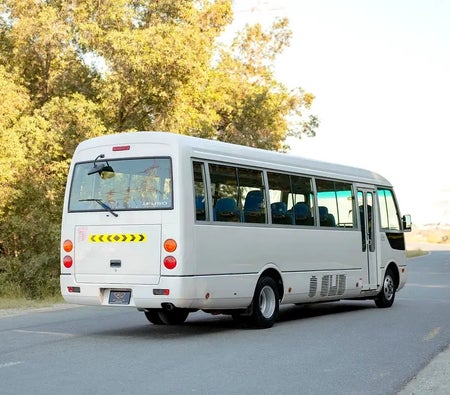 Bianca Mitsubishi Fuso Rosa 2022