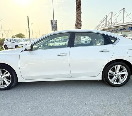 Weiß Nissan Altima SV 2013 Weiß Nissan Altima SV 2013