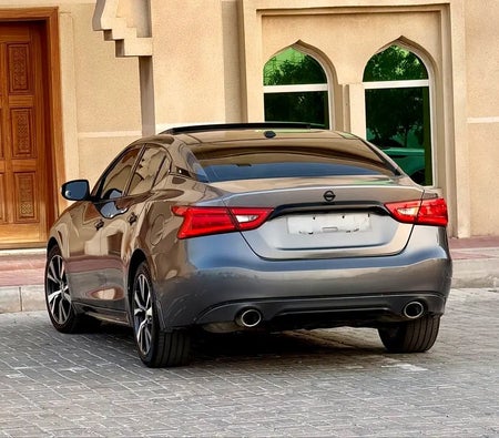 Nissan Maxima SV 2016, photo 4 of 4
