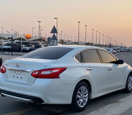 White Nissan Altima 2016