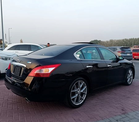 Nissan Maxima Platinum 2011, photo 4 of 4
