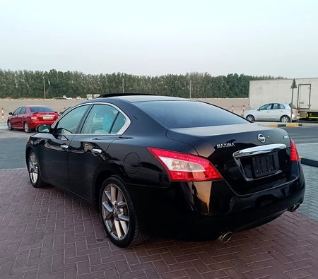 Burgundy Nissan Maxima Platinum 2011