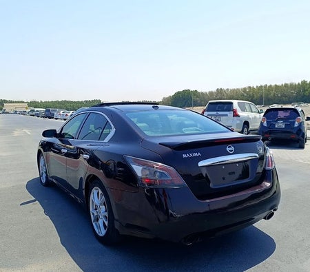 Borgogna Nissan Maxima 2014
