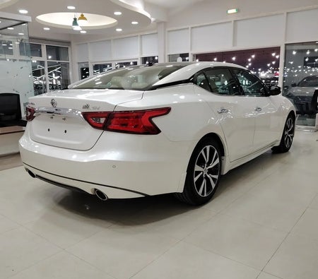 Nissan Maxima SV 2017, photo 4 of 4
