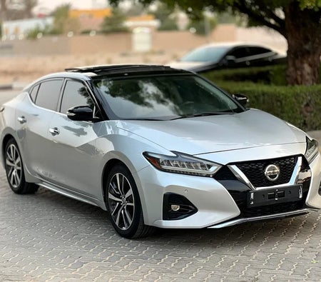 日产 Maxima SV 2019, photo 4 of 4