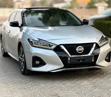 日产 Maxima SV 2019, photo 3 of 4