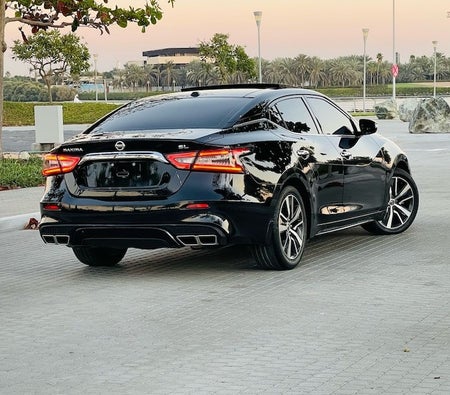 Nissan Maxima SL 2020, photo 4 of 4
