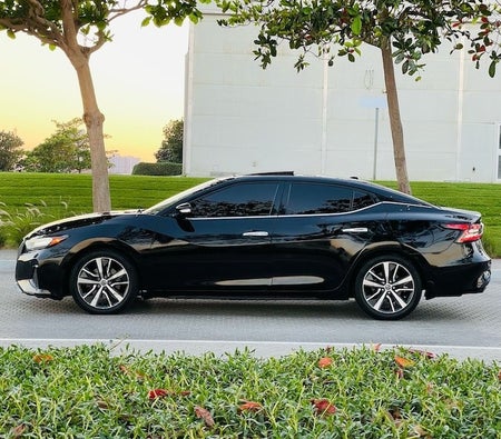 Nissan Maxima SL 2020, photo 3 of 4
