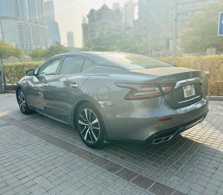 gris Nissan Maxima 2023