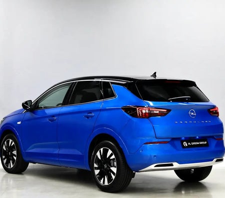 Opel Grandland X 2024, photo 4 of 4