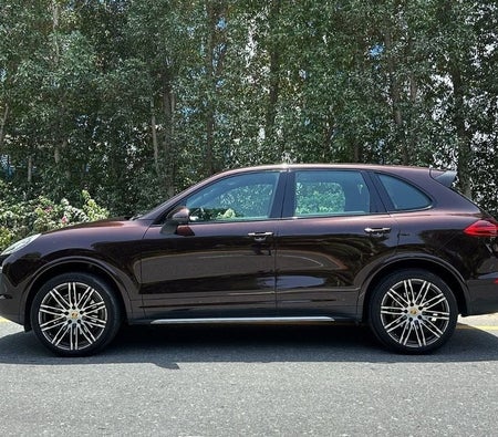 Porsche Cayenne 2018, photo 3 of 4