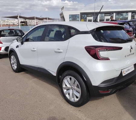 أبيض رينو كابتشر 2021