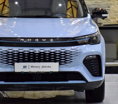 ROEWE RX3 Elite 2023, photo 4 of 4