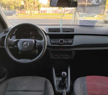 رمادي داكن سكودا  فابيا 2021