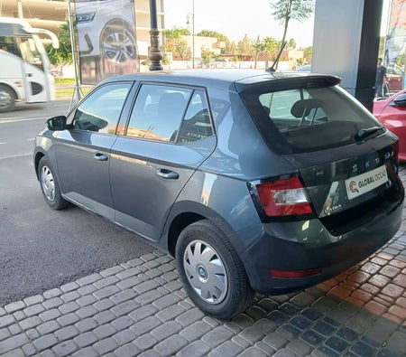 رمادي داكن سكودا  فابيا 2021