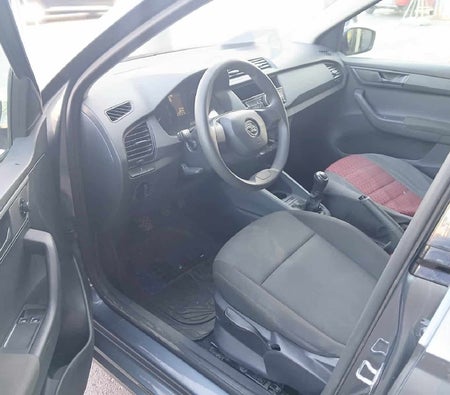 رمادي داكن سكودا  فابيا 2021