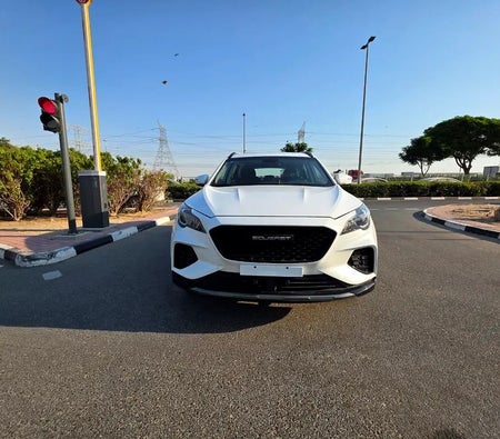 ساويست دي إكس 8 2022, photo 2 of 4