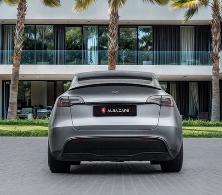 Gray Tesla Model Y Performance 2024