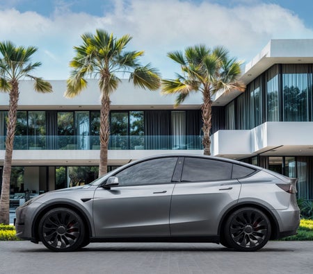 Gray Tesla Model Y Performance 2024 Gray Tesla Model Y Performance 2024