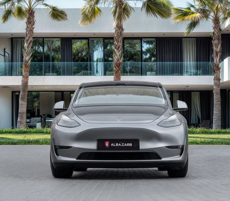 Gray Tesla Model Y Performance 2024 Gray Tesla Model Y Performance 2024