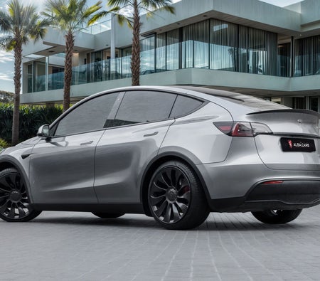 Gray Tesla Model Y Performance 2024