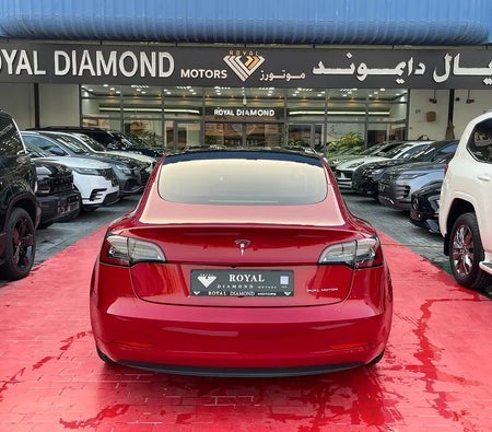 Tesla Model 3 Long Range  2021, photo 4 of 4