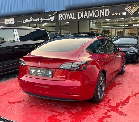 Tesla Model 3 Long Range  2021, photo 3 of 4
