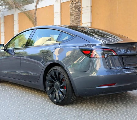 Tesla Model 3 Performance 2021
