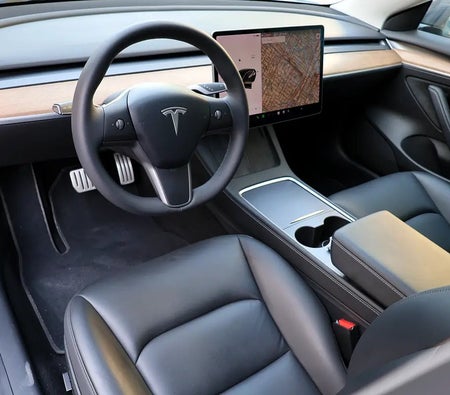 Tesla Model 3 Performance  2021, photo 3 of 4