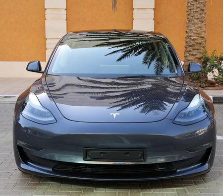 Tesla Model 3 Performance  2021, photo 2 of 4