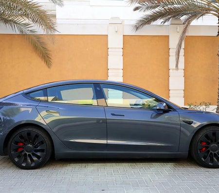 Tesla Model 3 Performance  2021, photo 4 of 4