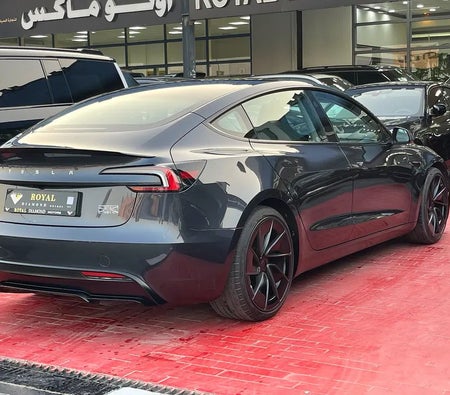 Tesla Model 3 Performance  2025, photo 4 of 4